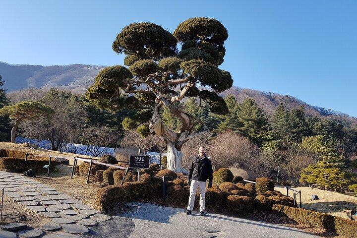 3 Days Essential Tour-Seoul, Nami/petite/Morning Calm and DMZ