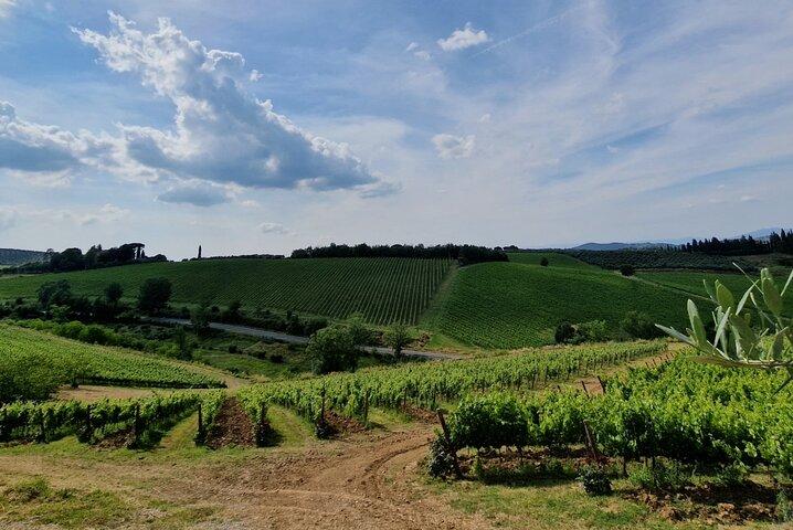 THE MASTER of Chianti Classico 3 Top Wineries Limousine Service