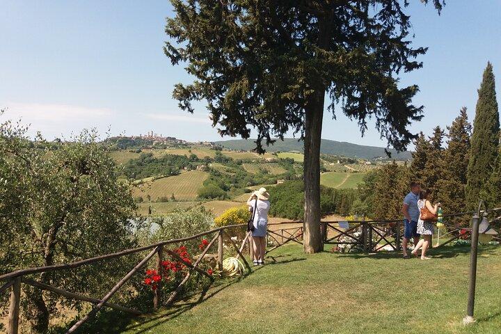 Private Tour in San Gimignano and Chianti Day Trip from Florence