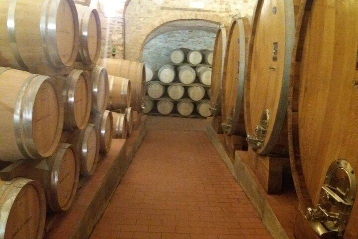 Private Tour in San Gimignano and Chianti Day Trip from Florence