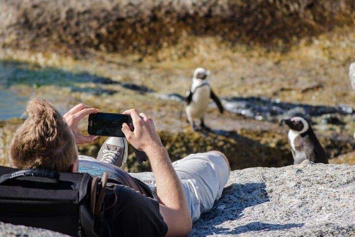 Private Tour to Robben Island and Cape Point in Cape Town