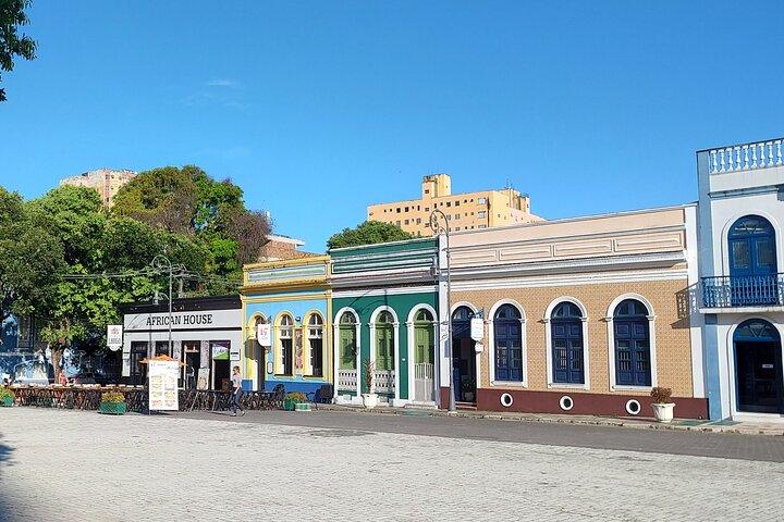 Manaus Private City Tour Amazonas Theater and the Hotel Pickup