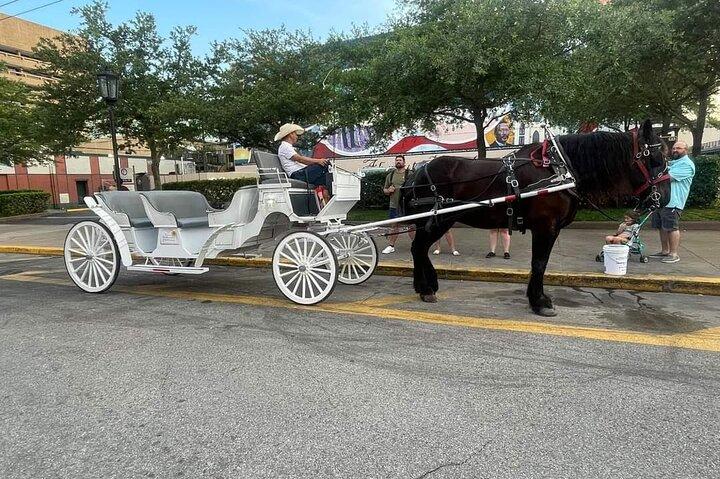 Public Group Historical Carriage Tour of Galveston