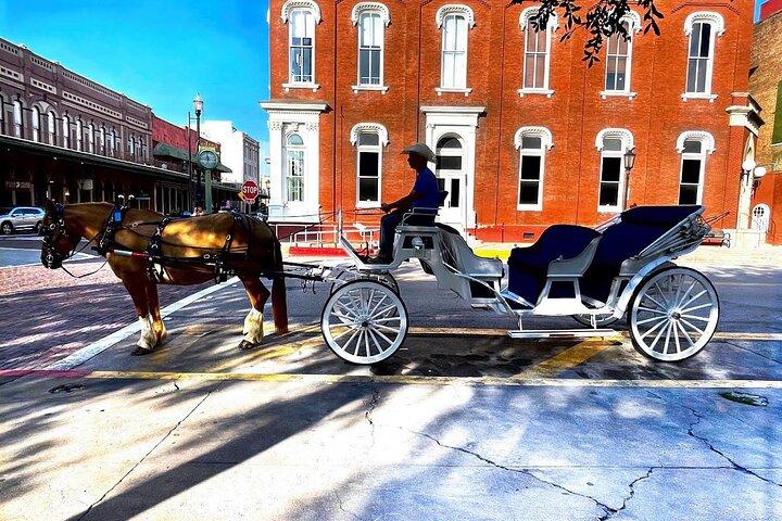 Public Group Historical Carriage Tour of Galveston