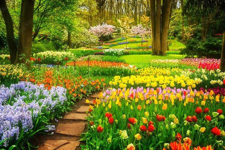 Delft and Keukenhof Gardens Tour from Brussels
