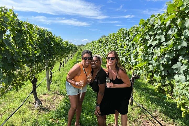 Long Island Wine and Food Day Trip with Sommelier host from NYC