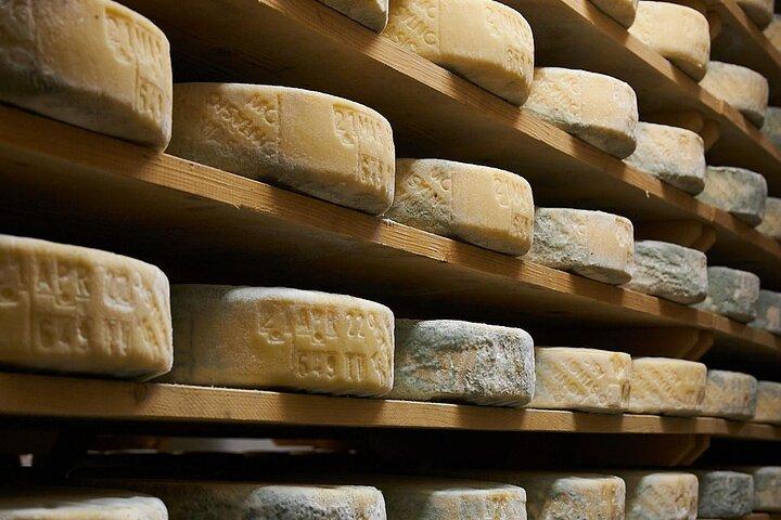 All Inclusive Cheeses and Gins Tour in the Prosecco hills.