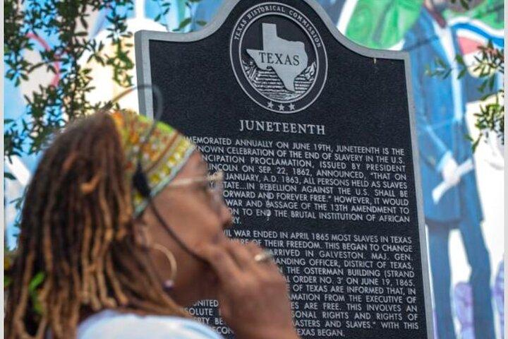 Juneteenth and Beyond African American Van Tours