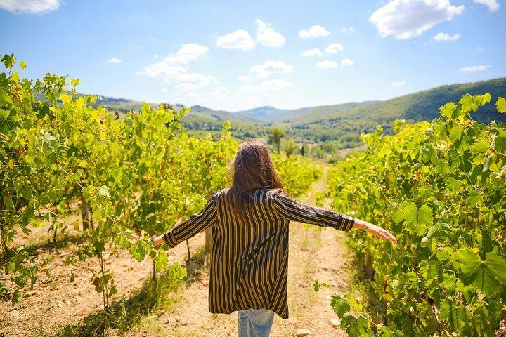 Half-day Experience to San Gimignano Hills with Picnic and Wine