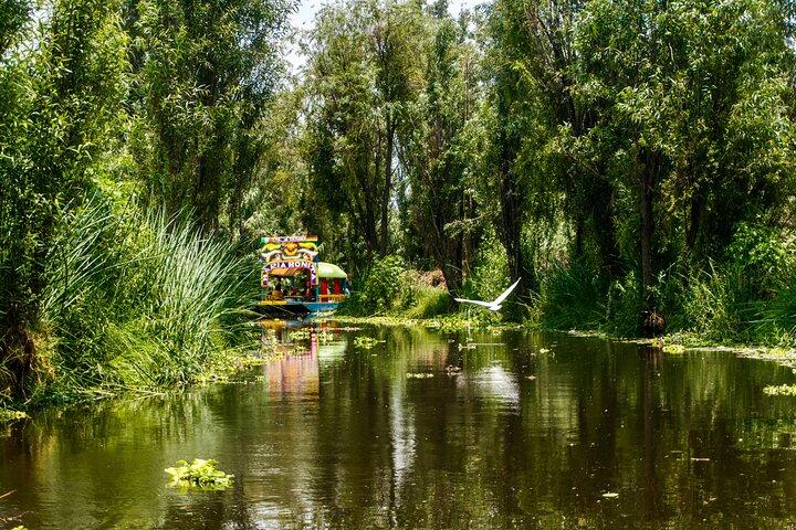 Xochimilco Magic: Culture, Canals & Mezcal, 3hr boat adventure!