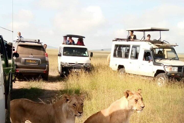 3 Day Private Wild Safari Tour in Maasai Mara
