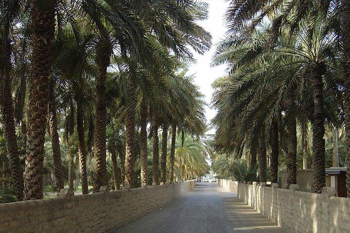 Al Ain Oasis Tour with Pickup and Drop off