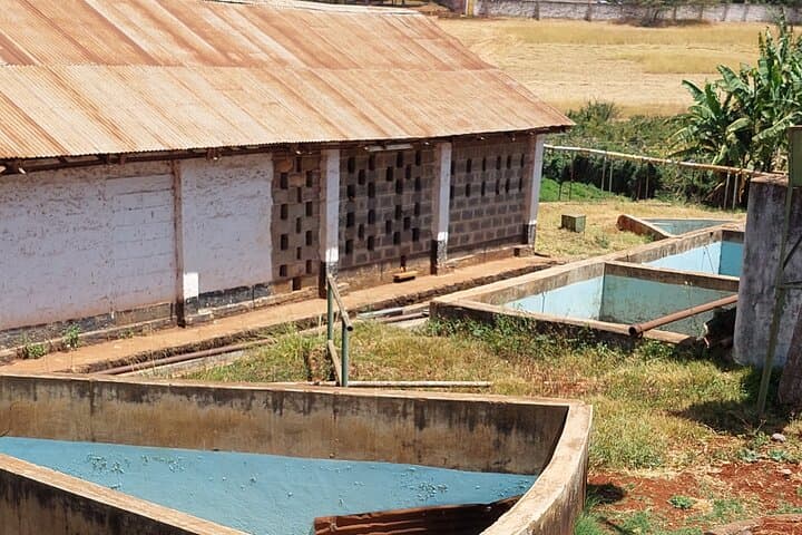 Coffee Farm tour from Nairobi