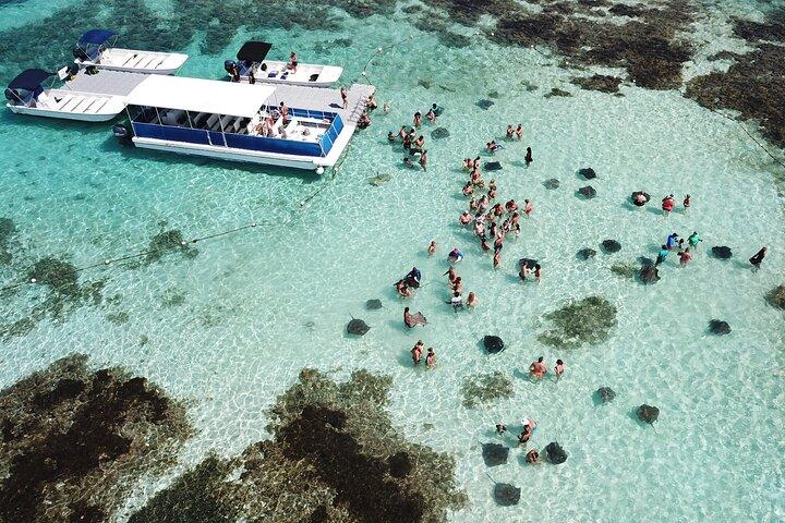Antigua Island Tour & Stingray Encounter – Small Group Experience