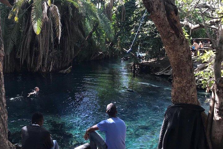 Materuni waterfall - coffee tour OR Chemka hot spring Tour
