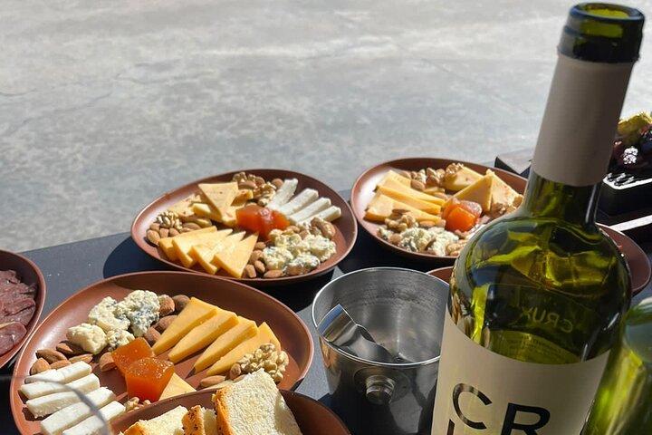 Private Tour Wineries in Mendoza with Gourmet Lunch