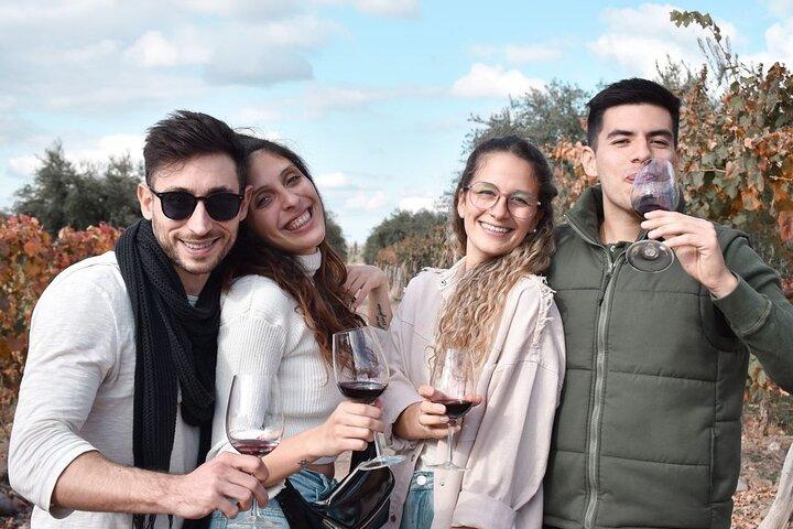 Private Tour Wineries in Mendoza with Gourmet Lunch