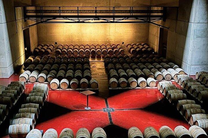 Private Tour Wineries in Mendoza with Gourmet Lunch