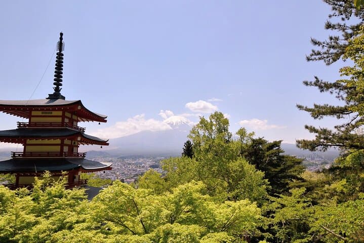 Mt Fuji Day Trip from Tokyo by Car with Photographer Guide