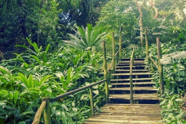 Full Day Discover Nadi Tour ( From Sigatoka Coral coast Hotels )