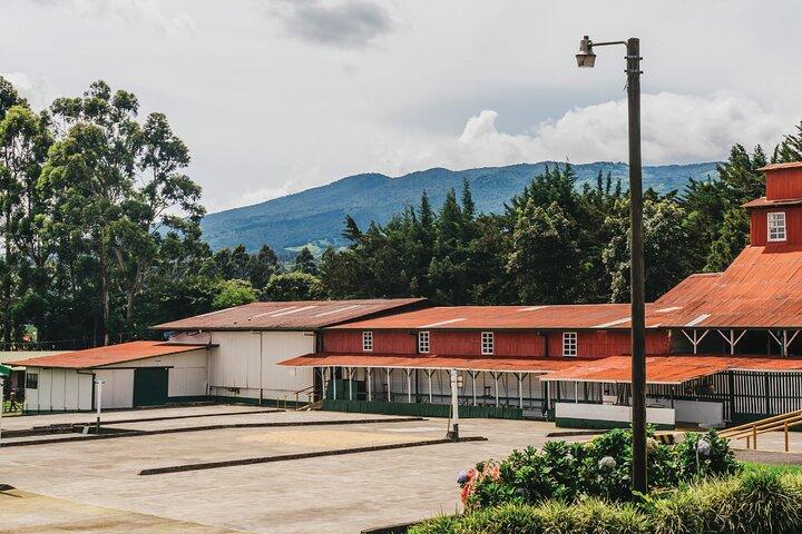 Hacienda Doka Coffee Experience Tour