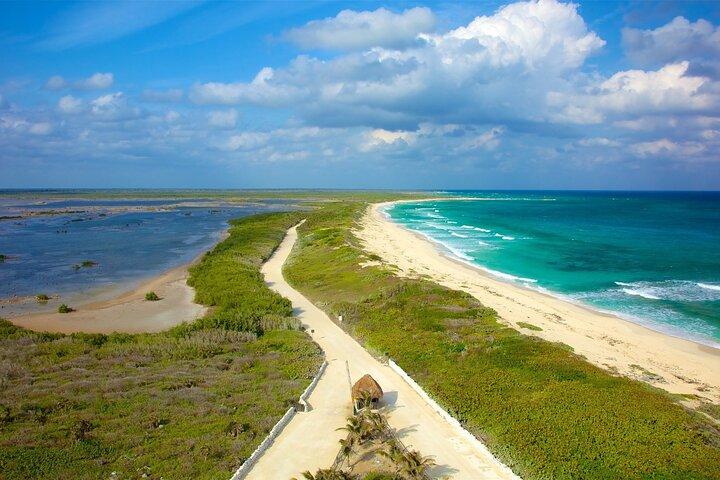 Tours along the beaches of Cozumel Mexico by buggy all inclusive