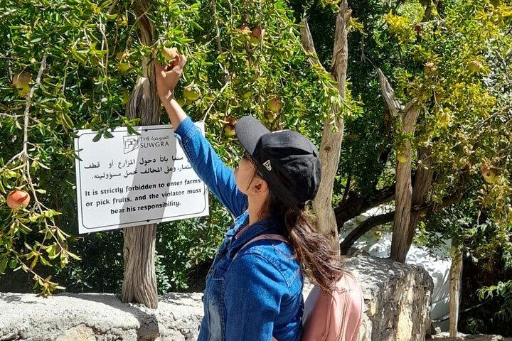 Private Jebel Akhdar - Al Suwjara Old Village - Birkat Al Mouz