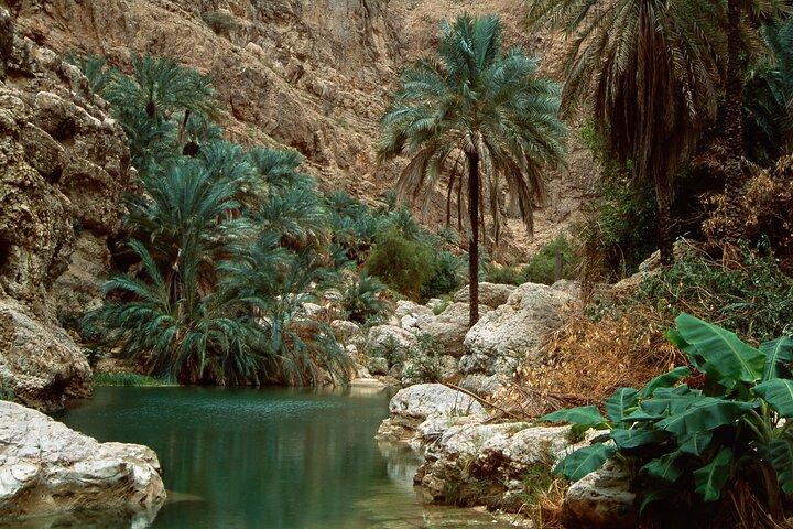 Wadi Shab and Bimmah Sinkhole Group Full Day Tour
