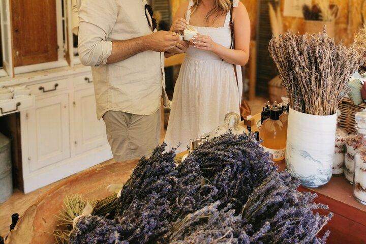 From Aix-en-Provence : Lavender & Wine Sidecar Tour