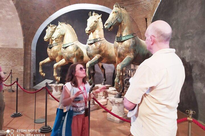 Saint Mark's Basilica guided tour with an architect
