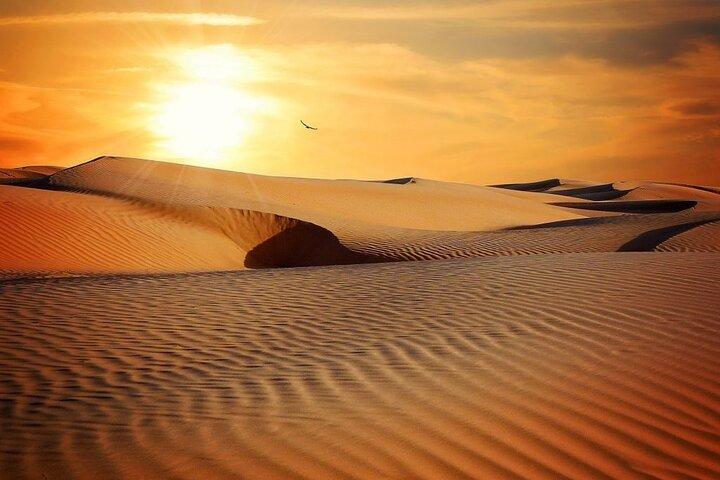 Wahiba Sands & Wadi Bani Khalid- Private Desert Safari in Muscat