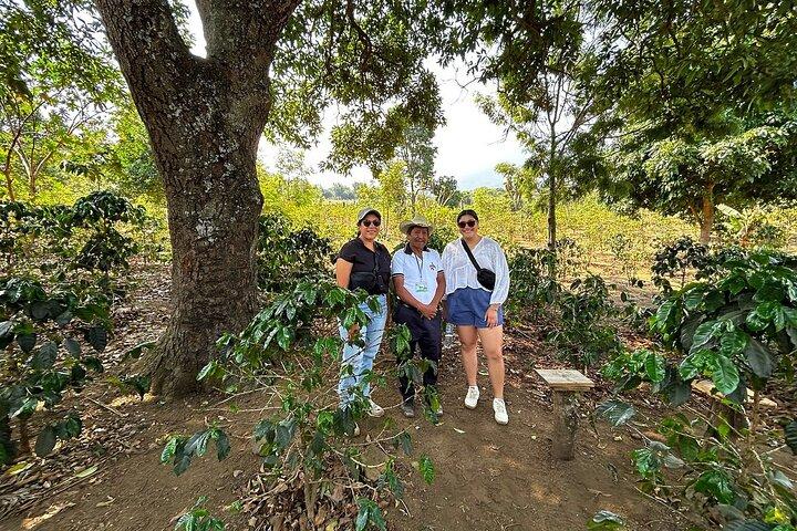 Coffee Tour Adventure Antigua Guatemala