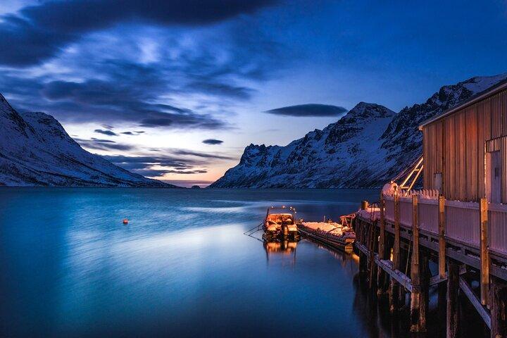 Sommarøy & Kvaløya Scenic Fjord Tour