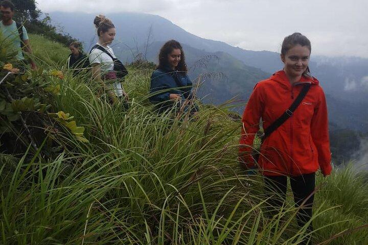 Half Day Hiking in Munnar Trekking Tour