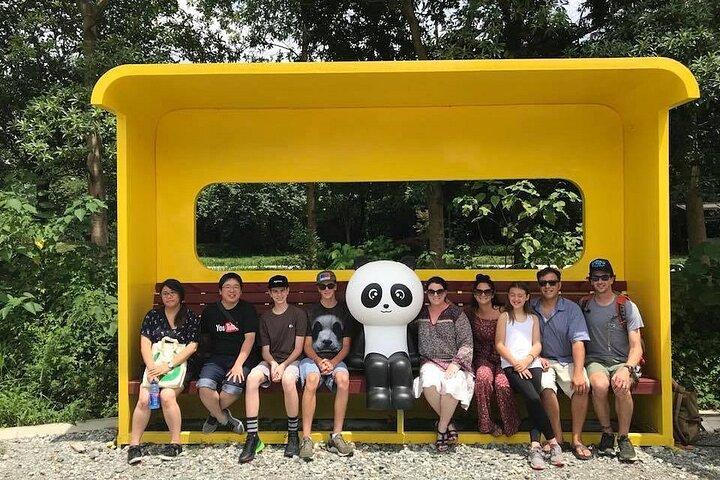 Dujiangyan irrigation+Mt. Qingcheng or Panda Park Day Tour