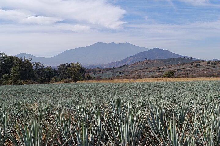 PRIVATE Fire TOUR: Pyramids, Volcanoes, Agaves & Tequila