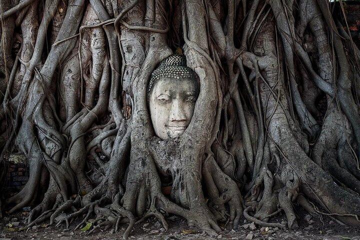 Ayutthaya Bicycle Tour, ATV, Floating Market and Sunset Sail