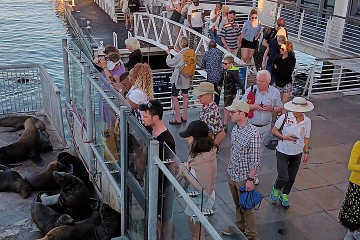 Robben Island & Long March to Freedom Tour All Tickets included