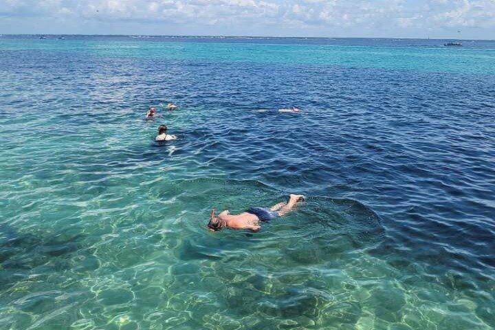 Family-Friendly Snorkeling and Dolphin Tour from FWB