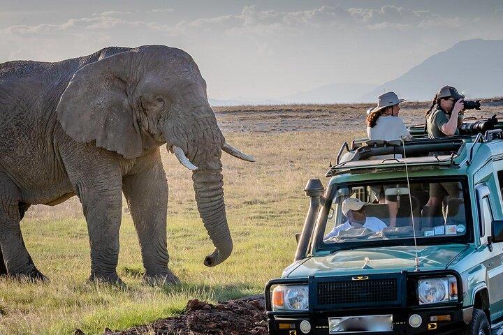 4 days Awesome Luxury safari Tarangire Serengeti & Ngorongoro