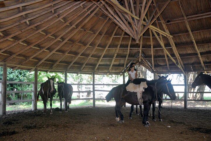 Gaucho Tour in Estancia Don Silvano from Buenos Aires
