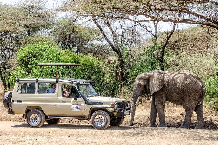 3Days luxury safari to Tarangire Ngorongoro crater and Manyara