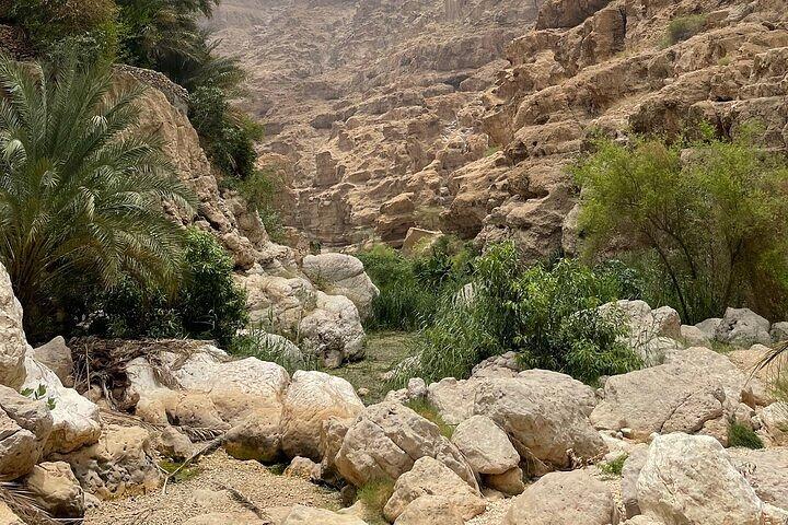 Private Full-Day Wadi Shab and Bimmah Sinkhole Tour