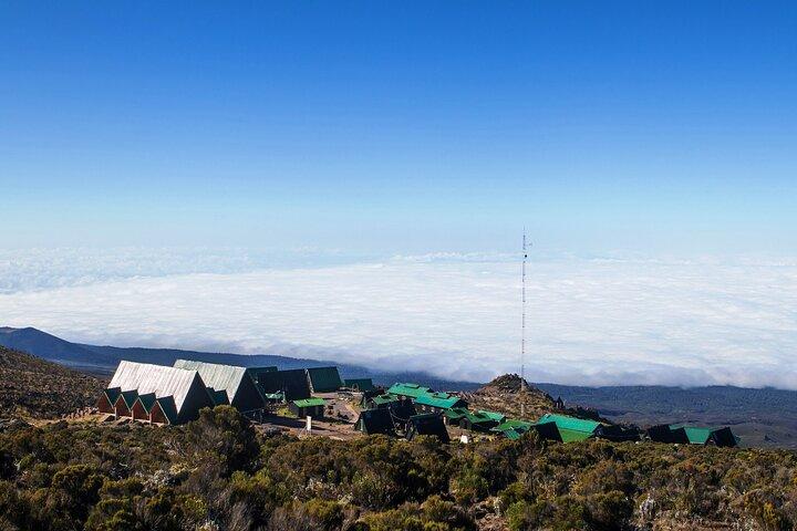 9 Day Tour in Lemosho Route Via Northern Circuit