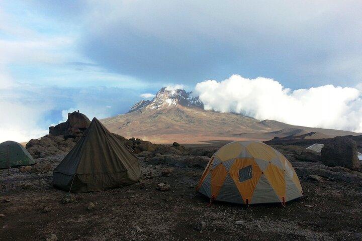 9 Day Tour in Lemosho Route Via Northern Circuit