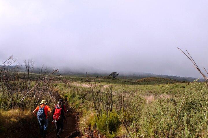 9 Day Tour in Lemosho Route Via Northern Circuit
