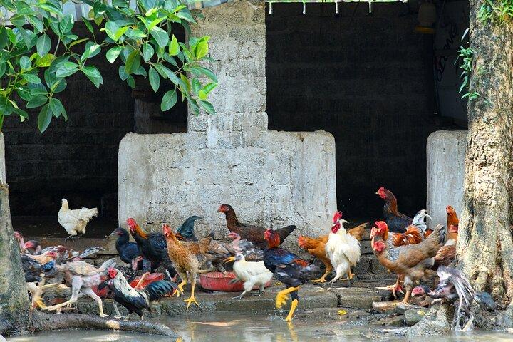 Hanoi: Luxury Day Trip Small Group of 8 to Bich Dong & Trang An