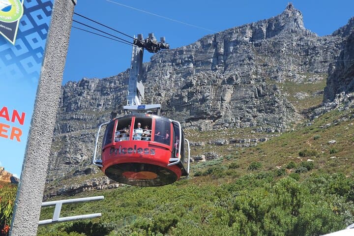 Private Tour: Table Mountain Boulder's Beach Penguin Cape Point
