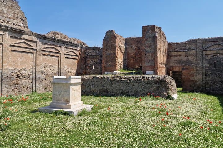 Herculaneum Pompeii and Paestum Private Tour from Rome with lunch