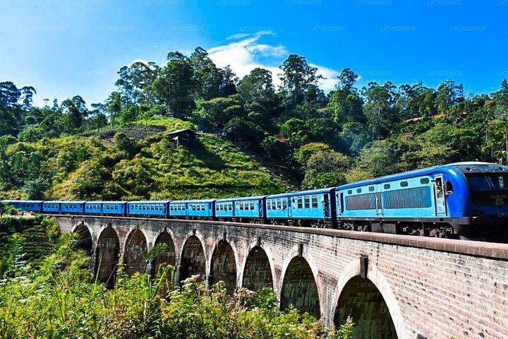 Ella Private Day Trip with Train Ride & Tea Factory-All Inclusive